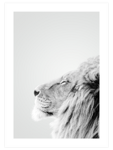 Aslan Profili - Art Print